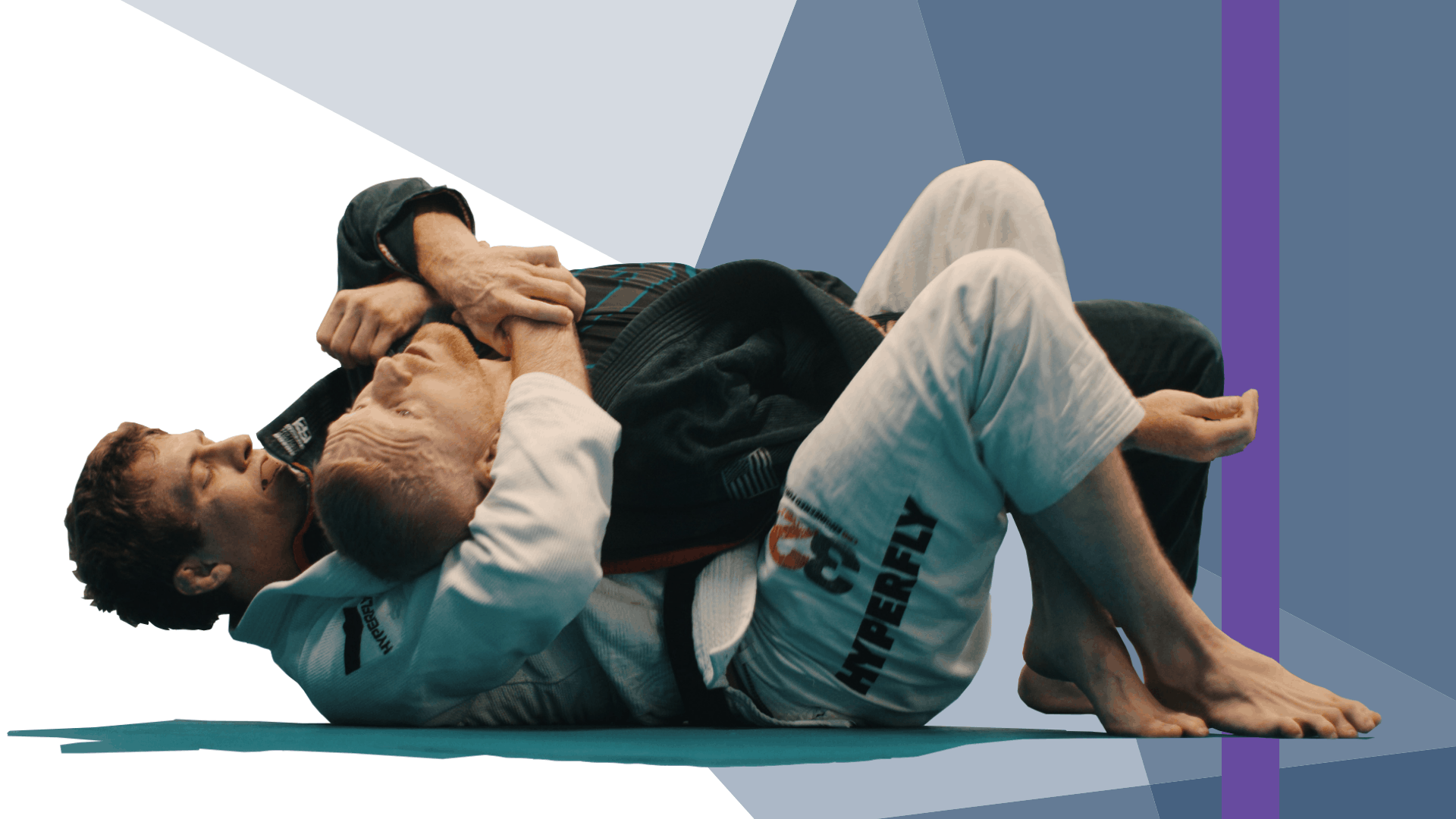 Purple Belt Course - Belt Level Courses