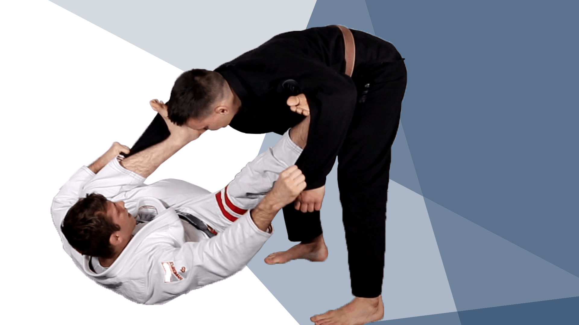 Spider Guard Header Image