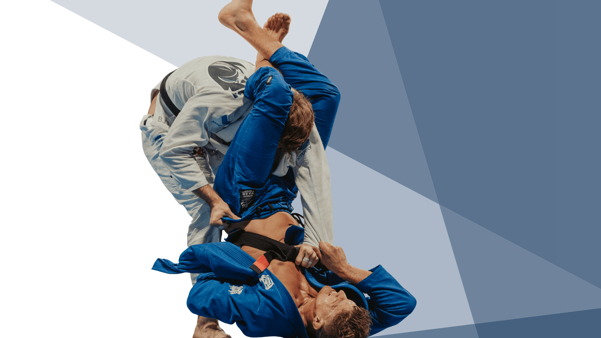 Submissions Defense