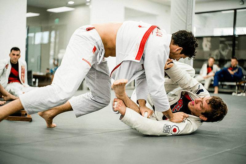 the role of stress in training