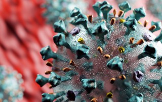 corona virus what you need to know