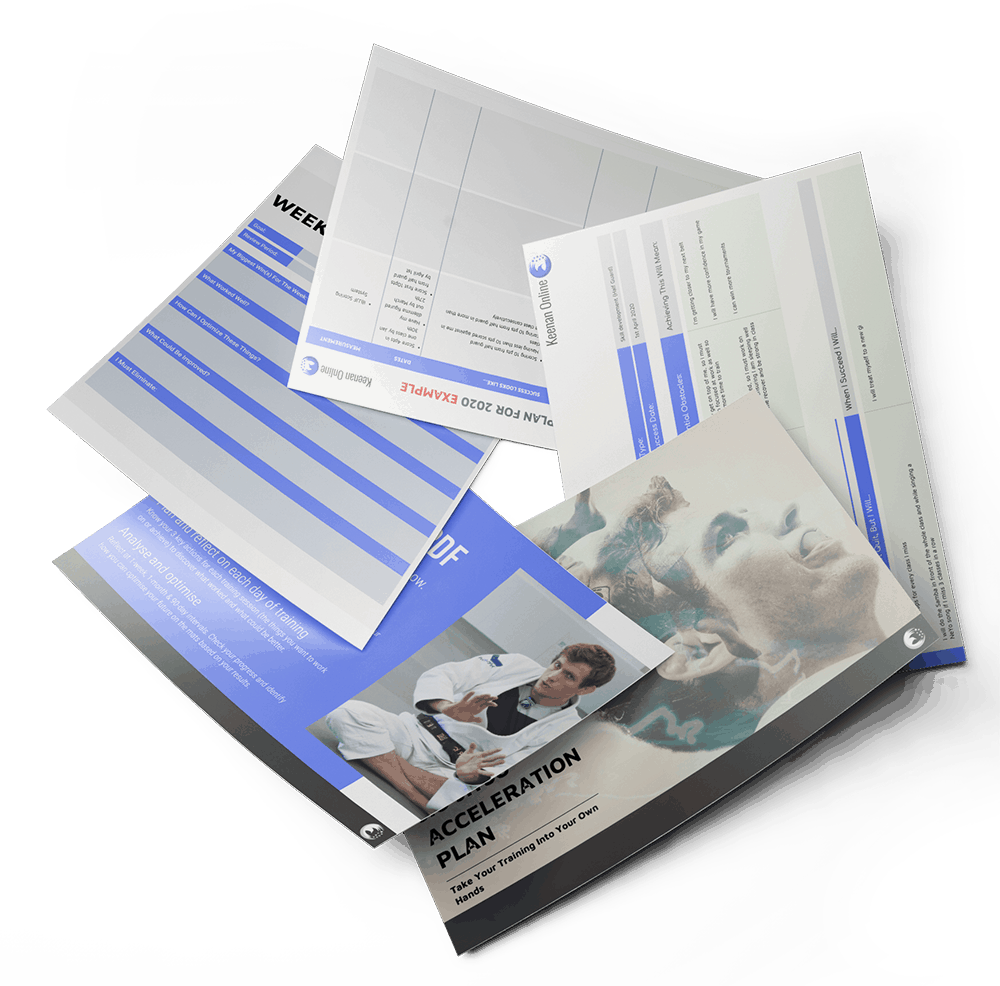 download-the-90-day-jiu-jitsu-acceleration-plan